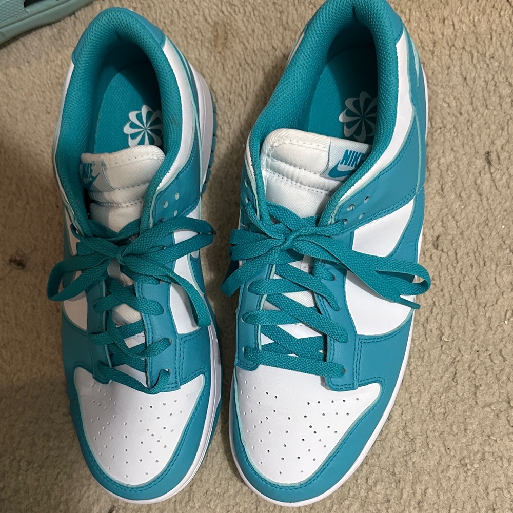 Nike Turquoise and White Athletic Shoes